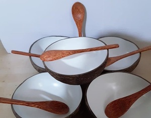 Cuenco de Cáscara de Coco Disponible para Uso Doméstico, Diseño Zen Asiático Ecológico, Mercancía Artesanal a Granel, Puntos de Venta al por Mayor - Product Image 1