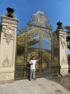 Puerta Ornamental de Hierro Forjado, Diseño Clásico y Moderno, Puerta Metálica Personalizada para Jardín, Villa, Entrada Residencial - Product Image 5
