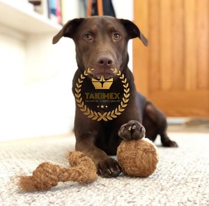 Fabricant vietnamien de corde de coco naturelle en forme d'os, jouet à mâcher pour chien en boule de coco, produit fait à la main - Product Image 5