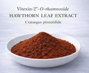 Suministro directo de fábrica de HGO de extracto de hoja de espino natural puro (Crataegus pinnatifida) (grado alimenticio) 30-O-rhamnoside 1% - Product Image 4