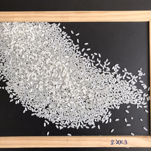 Riz égyptien Calrose Camolino riz blanc avec poli à l'huile/non poli à l'huile pour usage alimentaire motif long-WhatsApp + 84 944500504 - Product Image 5