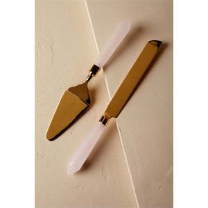 Cortador de pasteles y Cajas de Regalo para servidores Fabricante en India Cuchilla dorada con mango de resina Espátula para pasteles y rebanador Juego para servir - Product Image 1