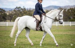 Custom Genuine Leather <b>Half</b> <b>Chaps</b> Standard Size Wholesale Equestrian Horse Riding Gaiters Durable Cowhide Riding <b>Chaps</b> LHC-0001 - Product Image 3