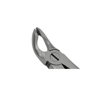 Manual English Pattern Dental Forceps | Premium Stainless Steel Tooth Extraction Forceps | MOL Safety by <b>Blush</b> surgical - Product Image 3