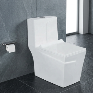 Inodoro Cerámico de Una Pieza de Alto Rendimiento con Sifón y Taza Alargada para la Infraestructura Sudamericana - Product Image 4