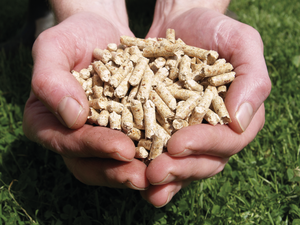 Granulés de bois de qualité supérieure à prix abordable, forme bâton, 8 mm, 7 % de cendres, 4500 J de calories, densité 600-800 kg/m³, humidité 5 %, longueur 10-50 mm - Product Image 3