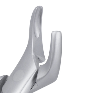 Forceps d'extraction universels 151S Pedo pour racines de dents de la petite enfance, en acier inoxydable chirurgical dentaire pédiatrique pour chirurgie buccale - Product Image 5