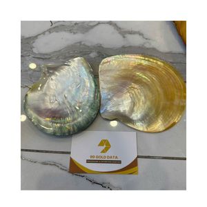 High Quality Mother of Pearl shell <b>Dinnerware</b> Set with Plate Spoon Soap Dish & Candy Dish-American Style Party Use - Product Image 2