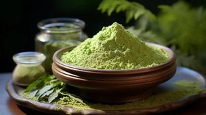 Polvo de Hoja de Moringa Orgánico para Suministro de Productos Naturales, Polvo Fino de Hoja Verde para Aplicaciones Alimentarias y de Bebidas - Product Image 4