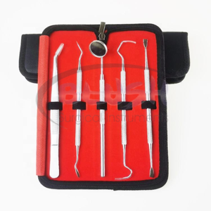 Dental Hygiene Kit Oral Care Set with Mouth Mirror Tweezers Dental Probe Multi Color Dental Tools Steel by <b>Blush</b> Surgical - Product Image 1