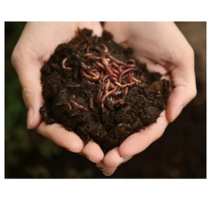 Fournisseur en gros de terreau de compost vermicomposté pour pépinières commerciales, fermes biologiques et entreprises de paysagisme professionnel - Product Image 2