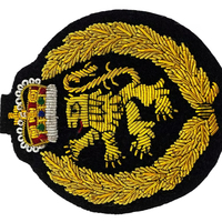 Badge de blazer en fil métallique artisanal, brodé de fils métalliques de luxe, résistant à l'eau, patch en tissu 3D écologique, couleurs personnalisées