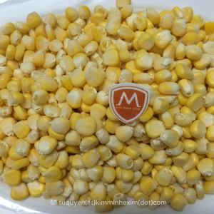 ข้าวโพดหวานต้มสุกทั้งลูกแช่แข็ง IQF คุณภาพพรีเมียมจากเวียดนาม - Product Image 4