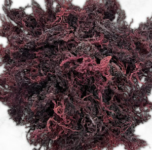 Musgo Irlandés Seco de Vietnam, Superalimento Natural para Suplemento Dietético, Exportación a Europa y EE. UU. - Product Image 2