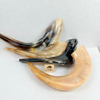 Shofar en corne de bélier polie, forme naturelle, éco-responsable, pour la prière religieuse, certifié casher israélien, juif yéménite, pour la récitation, OEM Sam Global Export