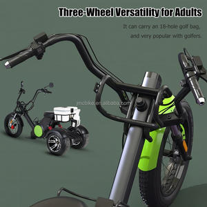 ईक cc m6g 3-पहिया इलेक्ट्रिक कार्गो ट्राइसाइकिल साइटोको 12 "वसा टायर डिस्क ब्रेक गोल्फ स्कूटर cc प्रमाणित इलेक्ट्रिक ट्रॉली - Product Image 3