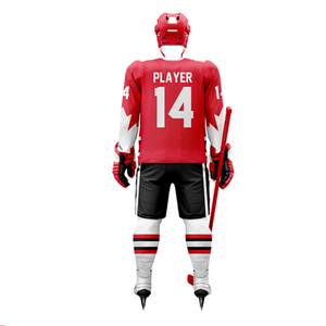 Maillot de hockey sur glace personnalisé de haute qualité avec logo frontal, en coton/fibre de bambou, séchage rapide, manches courtes, broderie 3D, en vente - Product Image 2