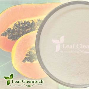 Factory Supplier of Papain <b>Feed</b> <b>Enzyme</b> Food <b>Enzymes</b> in Powder Form From Bangalore Karnataka India - Product Image 4