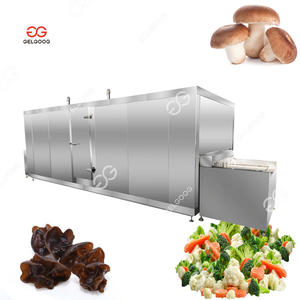 Tunnel <b>Freezer</b> Industrial Quick Freezing Machine Automatic Washing Drying Cryogenic Strawberry Blueberry Fruit - Product Image 4
