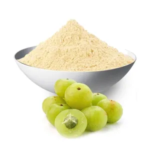 Polvo de Amla 100% Auténtico de Calidad Premium, Natural y Puro, Grado Alimenticio, a Granel, Exportación de la India a Precio Mayorista - Product Image 1