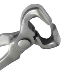 ชุดเครื่องมือช่างตัดแต่งกีบม้า IRON FARRIER TOOLS คุณภาพสูงระดับมืออาชีพ ผลิตจากสแตนเลสสตีลระดับพรีเมียม ระบายอากาศได้ดี สำหรับการดูแลกีบม้า - Product Image 2