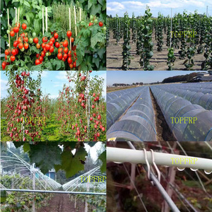 High Strength Fiberglass Rods, Custom Length Tent <b>Pole</b> Plant Stake Flag <b>Pole</b>, Outdoor <b>Garden</b> Religious Flag - Product Image 6
