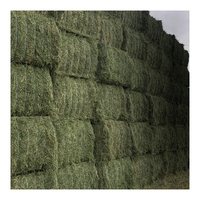 Prix Réduit Foin d'Alfalfa Qualité Alimentaire 25kg/sac pour l'Alimentation des Bovins et des Chevaux, Idéal pour les Exploitations Laitières et les Distributeurs Agricoles
