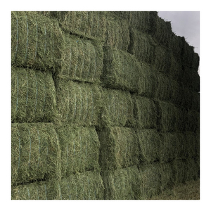 Prix réduit sur le foin d'alfalfa disponible pour les fermes laitières et les distributeurs agricoles - Product Image 5