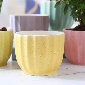 Maceta de cerámica premium con encanto decorativo atemporal. Maceta de cerámica diseñada para durar y con una belleza estética. - Product Image 5