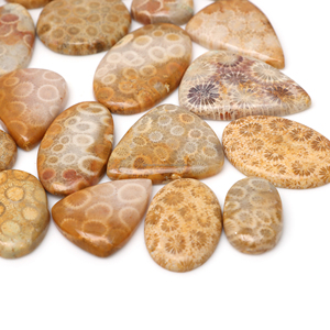 Cabochons de corail fossile de haute qualité, pierres naturelles pour bagues, colliers et artisanat décoratif - Product Image 1