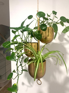 Gold Metal <b>Hanging</b> <b>Planter</b> Trio with Vertical Suspension Design | Modern Multi Tier Flower Pots <b>for</b> <b>Indoor</b> Home Decor Living - Product Image 4