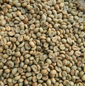 Premium Robusta Whole Bean Coffee Green Beans para un sabor rico y audaz Grano de café tostado Categoría de producto - Product Image 1