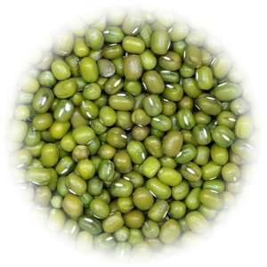 Frijoles Mung Verdes Orgánicos de Calidad Sortex, Sin GMO, Forma Redonda, Secos, en Empaque a Granel, 100% Puros - Product Image 2