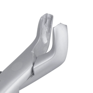 17 Lower Molars Extraction Forceps Stainless Steel Dental Surgical <b>Tooth</b> Extraction Instrument Oral Surgery <b>Tool</b> Set - Product Image 6