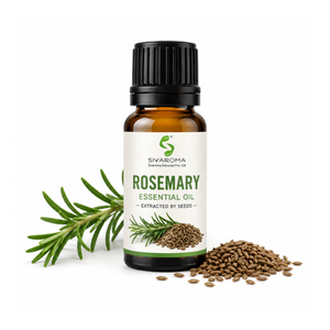 Huile de romarin polyvalente pour les applications professionnelles en cosmétiques, soins capillaires, soins personnels, parfumerie et formulation de produits de beauté - Product Image 2