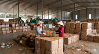 Balle de fibres de coco naturelles, brutes et écologiques pour l'agriculture et la construction, fabriquée au Vietnam