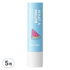 Balsamo Labbra Idratante al Gusto di Frutta Discount Witch Factory 4g 5pz - Che Melone! - Product Image 1