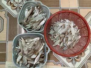 Cuchara y Tenedor de Nácar con Diseño Personalizable, Cuchara de Café Pulida, Cuchara para Pastel, Helado y Caviar, Venta al por Mayor - Product Image 4