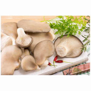<b>Dried</b> Cultivated Mushrooms in Drums Bulk High Quality US Origin - Product Image 6