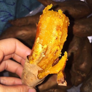 Morceaux de patates douces congelés pour la vente au détail et en gros de produits alimentaires frais à base de racines exportation du Vietnam par 99 données sur l'or - Product Image 6