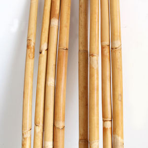 Canne de rotin entière, rotin brut naturel, rotang, tige droite, qualité mobilier, canne nettoyée, haute résistance pour la fabrication de meubles - Product Image 4