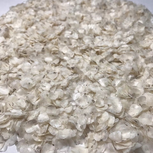 เกล็ดปลาที่ผ่านการดีแคลซิไฟน/เกล็ดปลาแห้งดิบสำหรับอุตสาหกรรม - Product Image 1