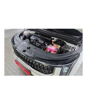 Kia Carnival HEV 9 places Signature 2024, 37 602 km, boîte automatique, sièges en cuir, caméra de recul, conduite à gauche - Product Image 6