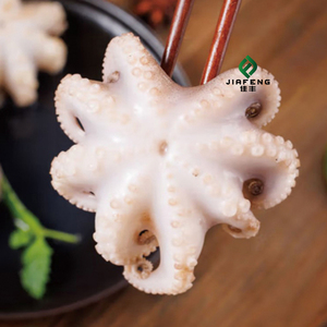 <span class=keywords><strong>Pulpo</strong></span> Congelado en Caja, Tamaño 40/60, Limpio y Desvenado, Origen Tailandia, Exportación a Granel con <span class=keywords><strong>Precio</strong></span> Competitivo - Product Image 4