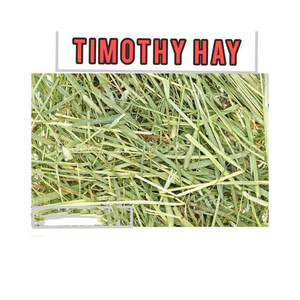 ทิโมธีเฮย์ จำหน่ายส่ง ขายส่ง ราคาพิเศษ จัดส่งรวดเร็ว ผู้ส่งออก - Product Image 2