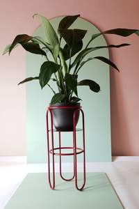 Support de plante en métal Casa De Amor pour salon, grand support à plantes pour escalier, grande étagère pour jardin domestique, noir - Product Image 2