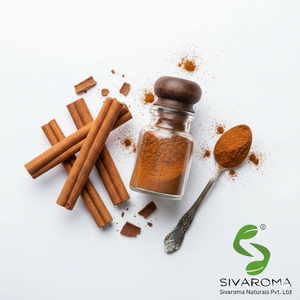Extracto de Canela en Polvo de Alta Pureza, Ideal para Formulación de Sabores a Gran Escala y Aplicaciones de Desarrollo de Productos Comerciales - Product Image 3