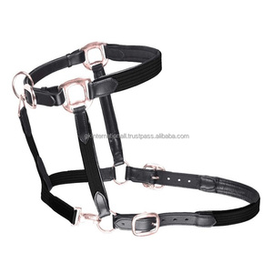 Offre Spéciale licou de course de chevaux en cuir véritable fabriqué en Inde fabricant en gros avec cordes de plomb et accessoires en laiton assortis - Product Image 5