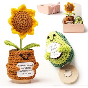 Paquete de 2 Plantas de Peluche de Apoyo Emocional, Nuggets de Primera Calidad con Caja de Regalo - Product Image 1