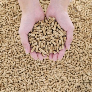 Pellets de madera de biomasa ecológicos creados a partir de residuos forestales de primera calidad para exportación a granel, aplicaciones de calefacción y demanda energética. - Product Image 2